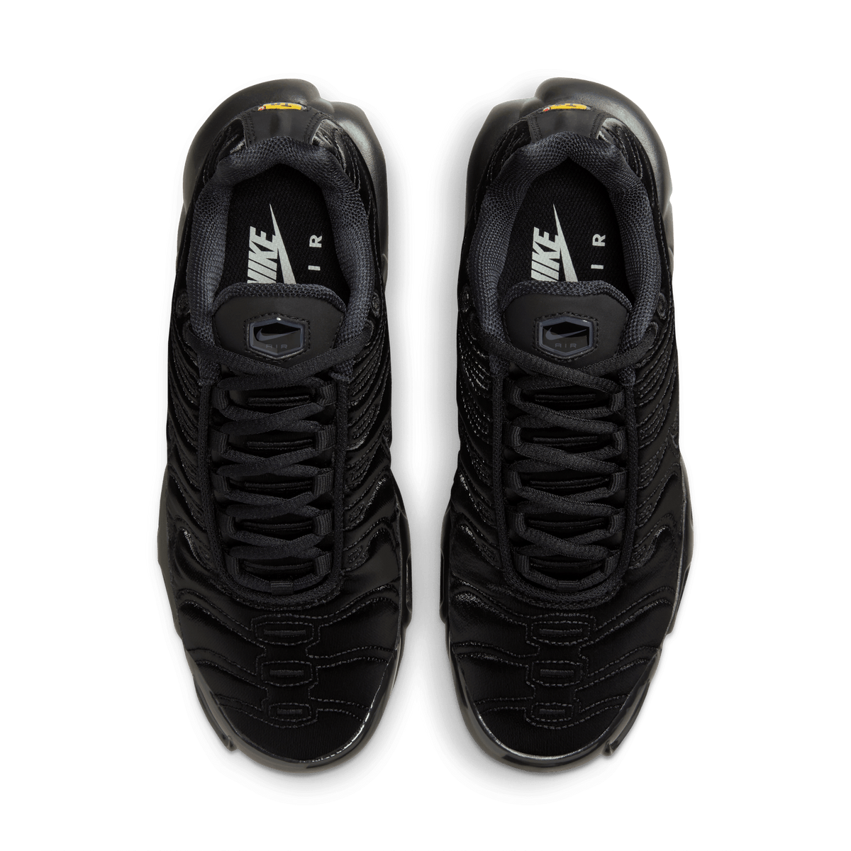 Nike Air Max Plus Black Anthracite Sail (Women's) – FV1169-001-36.5 – product view 3