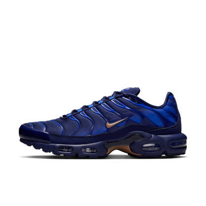Nike Air Max Plus French Football Federation – IQ0170-400-45.5 – product view 5