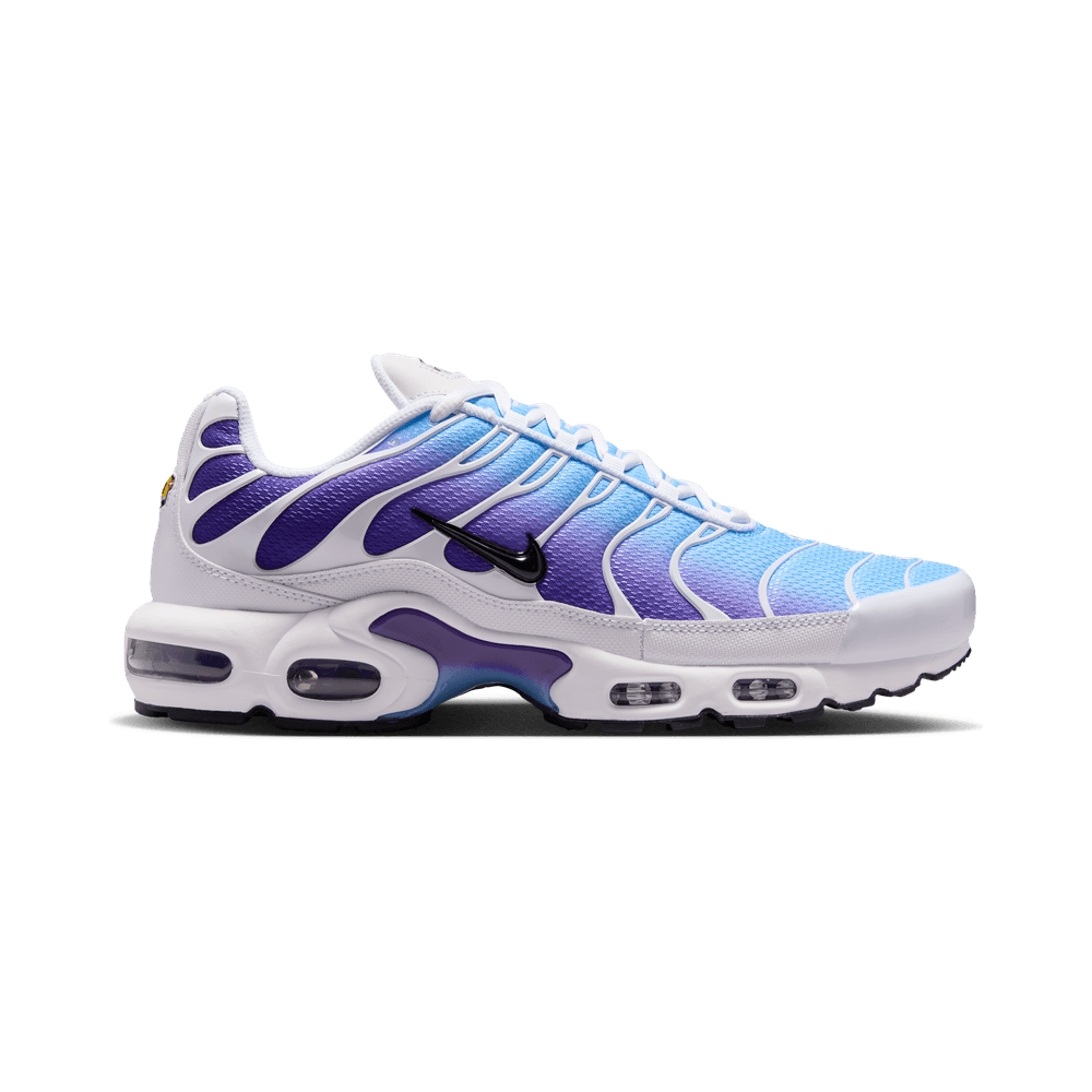 Nike Air Max Plus White Gradient Blue – DM0032-111-40.5 – product image