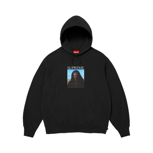 Supreme Sith Hooded Sweatshirt 'Black' – FW26SW79-BLACK-S – product image